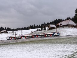 20190128_DSC_9775_copyrightwebsite